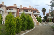 Property 809 photo 1