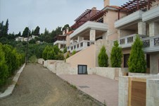 Property 809 photo 2