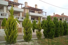 Property 809 photo 5