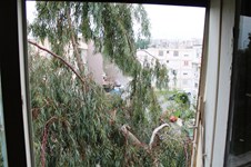 Property 8096 photo 4