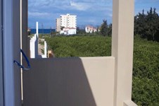 Property 811 photo 4