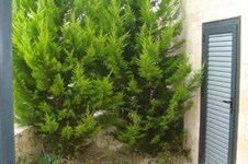 Property 812 photo 3