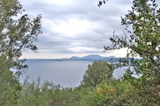Property 8122 photo 1