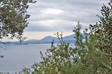 Property 8122 photo 5