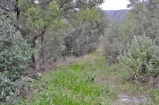 Property 8122 photo 2
