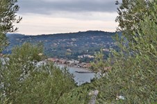 Property 8122 photo 3