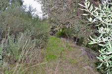 Property 8122 photo 4