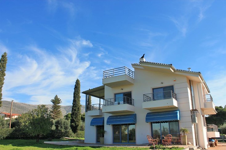 Realty photo 1