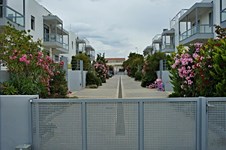 Property 8145 photo 4