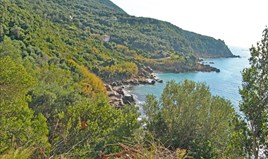 Land 2570 m² auf Korfu