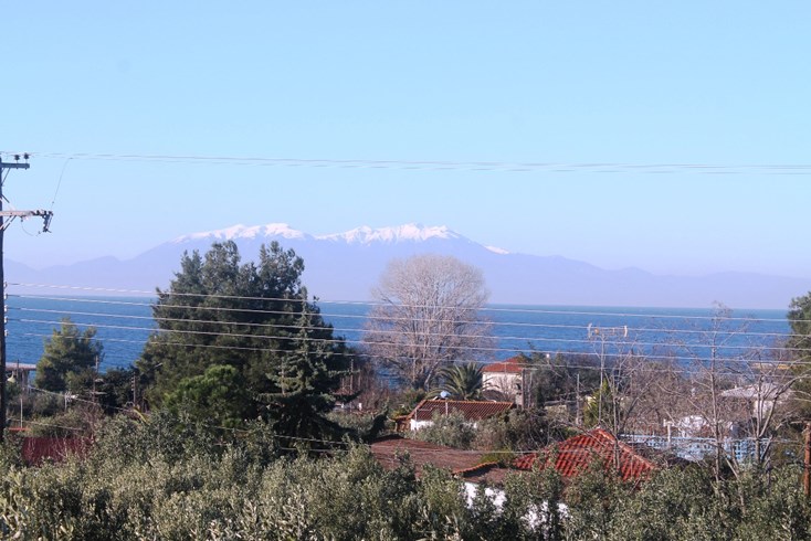 Realty photo 3