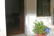 Property 8209 photo 4