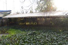 Property 8210 photo 5