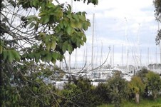 Property 8210 photo 3