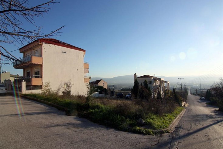 Realty photo 1