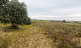 հողատարածք 7350 m²  քաղաքամերձ Սալոնիկում
