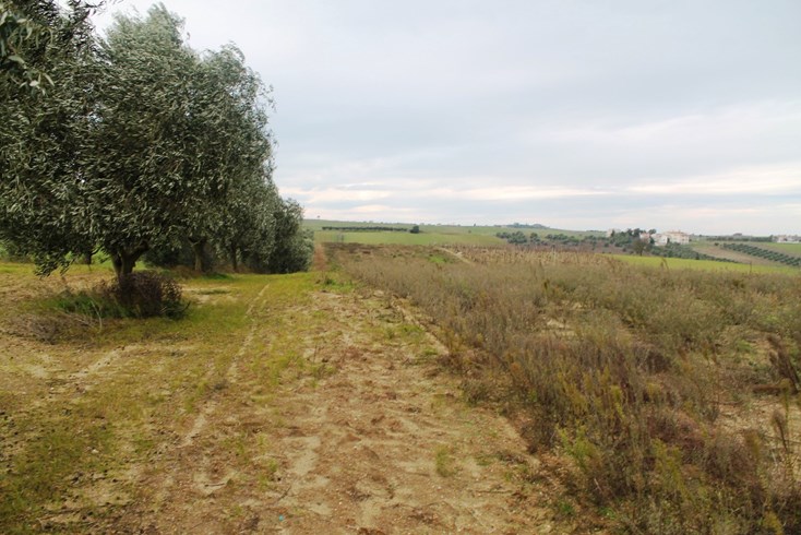 Realty photo 1