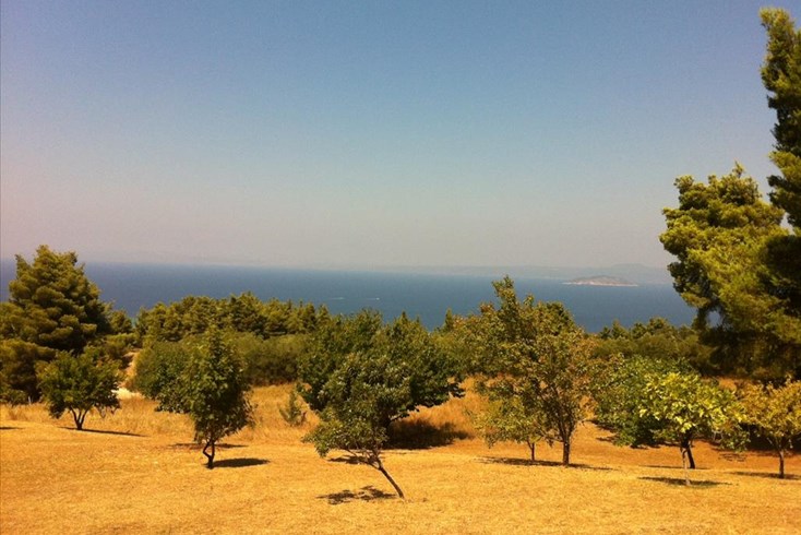 Realty photo 2