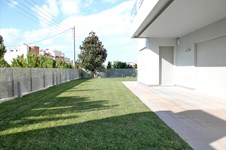 Property 8245 photo 1