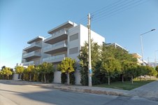 Property 8246 photo 1
