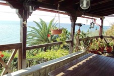 Property 8257 photo 1