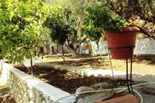 Property 8257 photo 23