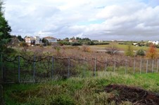 Property 8290 photo 3