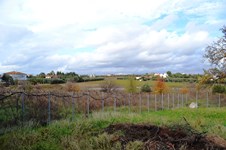 Property 8290 photo 4