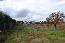 Property 8290 photo 2