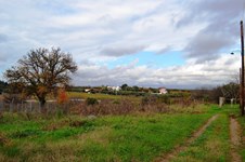 Property 8290 photo 1