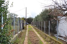 Property 8290 photo 5