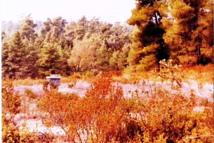 Realty photo 3
