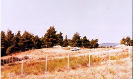 Land 5150 m² in Kassandra, Chalkidiki
