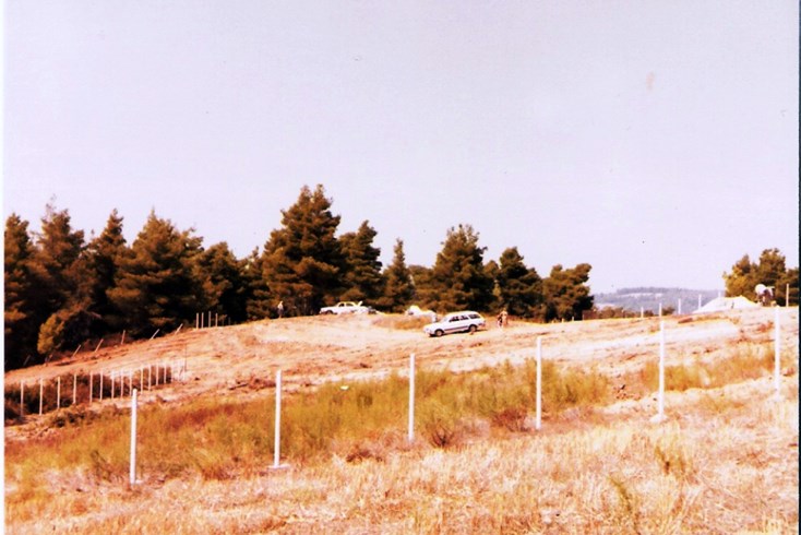 Realty photo 1