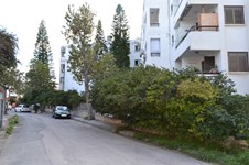 Property 8313 photo 13