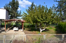 Property 8315 photo 6