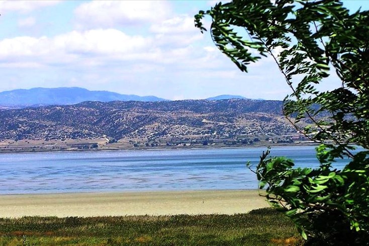 Realty photo 1