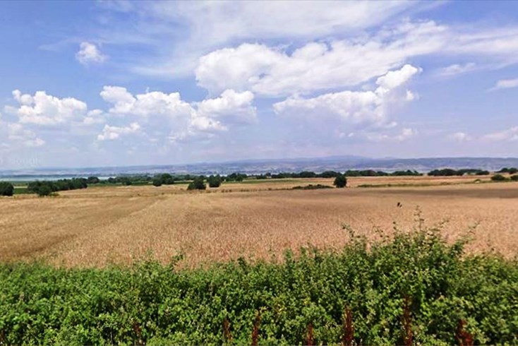 Realty photo 2
