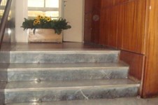 Property 8384 photo 3