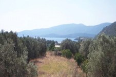 Property 839 photo 2