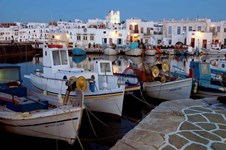 Property 8398 photo 9