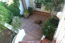 Property 8413 photo 2