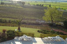 Property 843 photo 16