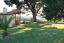 Property 843 photo 17