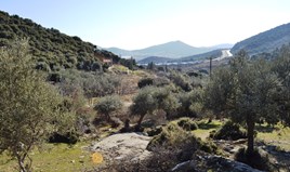 Land 4000 m² in Kavala