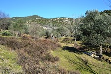 Property 8476 photo 2