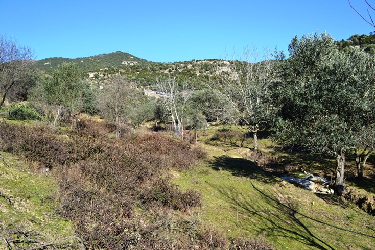 Realty photo 2