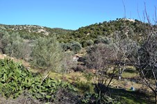 Property 8476 photo 4