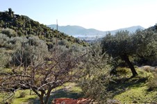 Property 8476 photo 3