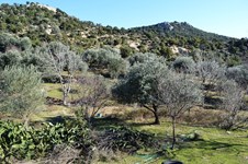Property 8476 photo 5